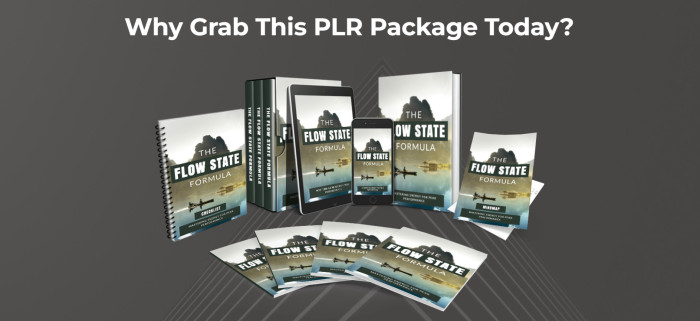 (PLR) The Flow State Formula BEST Way To Self Help Journey