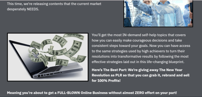 (PLR) The Flow State Formula BEST Way To Self Help Journey