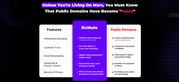 BizMails Pro Business Emails From Own Domains