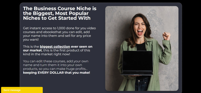 Business Course Vault [PLR]: Profit Instantly With 1,000 DFY Products