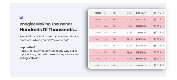 1 CP Software PLR Launch a Software Business