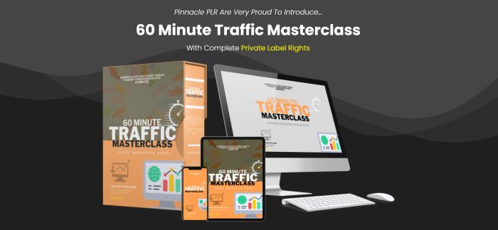 60 Minute Traffic Masterclass Sell Your Own Traffic Training Guide