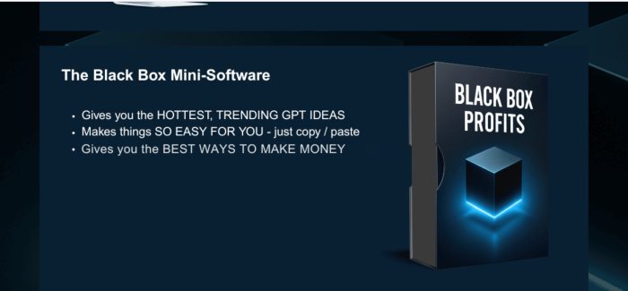 Black Box Profits TURN IDEAS INTO CASH-MAKING TOOLS