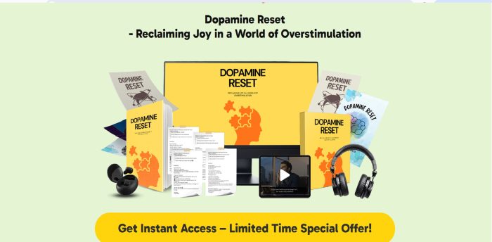 Dopamine Reset PLR: Launch a Brain-Balancing Product