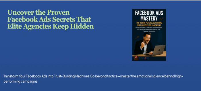 Facebook Ads Mastery Small Budget, Big Impact!