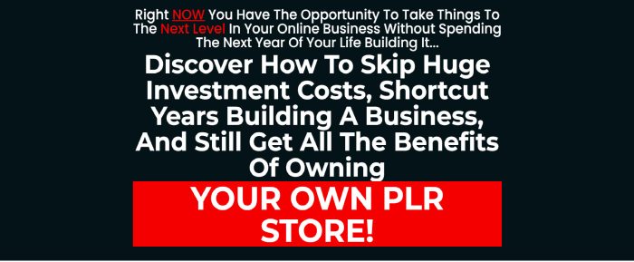 Easy PLR Store: Own a PLR Store in Minutes